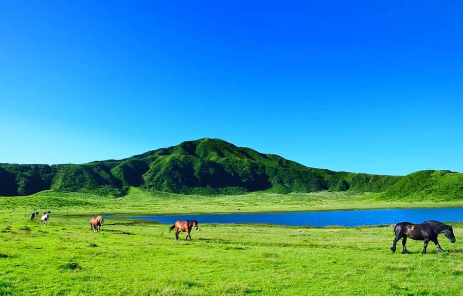 From Fukuoka: Mount Aso, Kurokawa Onsen, and Shrine Tour - Kurokawa Onsen streets and the real meaning of time to soak