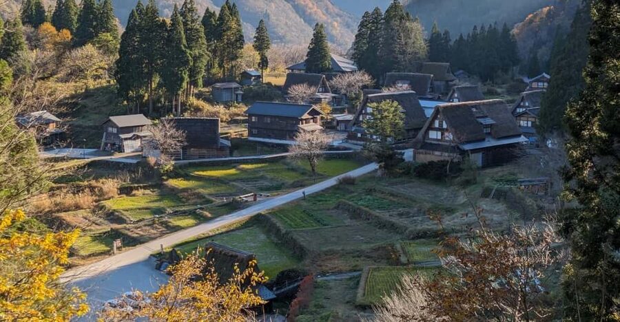 From Kanazawa: Shirakawa-go, Gokayama and Wood Carving Art - Gokayama’s Ainokura Village: washi paper-making with a purpose