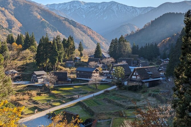 From Kanazawa: Shirakawa-go, Gokayama and Wood Carving Village - Inami woodcarvers and Zuisenji Temple: craftsmanship at street level