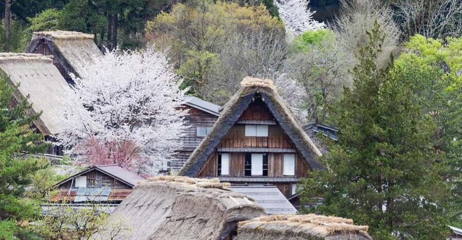 From Kanazawa/Toyama: Shirakawago and Takayama Day Tour - Who This Tour Fits Best (And Who Might Want Something Else)