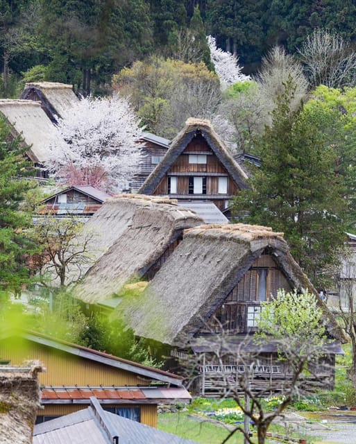 From Kanazawa/Toyama: Shirakawago and Takayama Day Tour - Pickup, Drop-off, and Staying in Control of Your Day