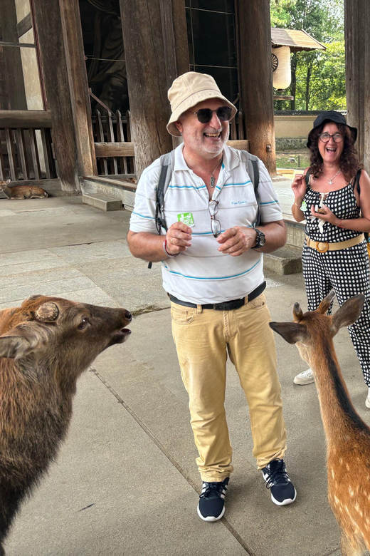 From Kyoto: Nara Guided Morning Tour - Key Things I’d Use to Choose This Tour