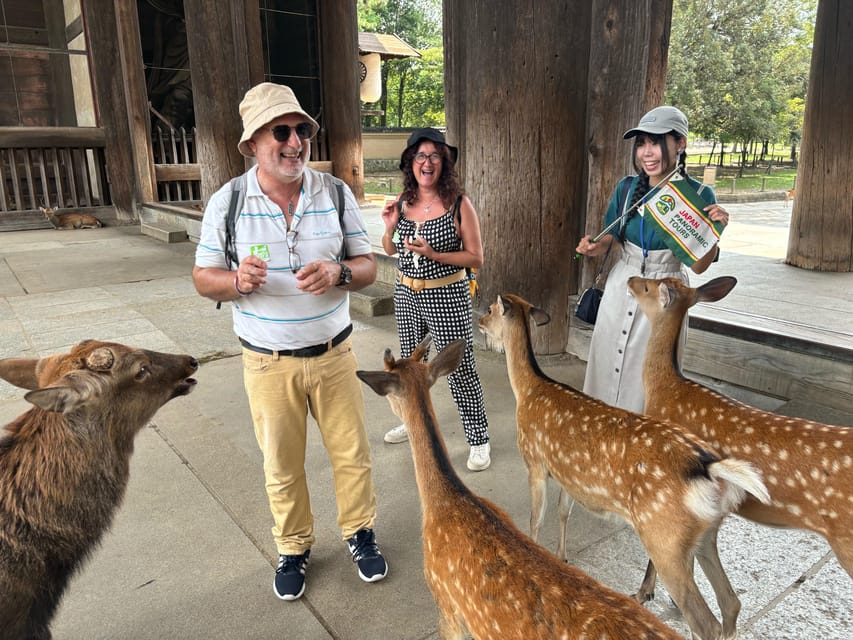 From Kyoto: Nara Guided Morning Tour - Morning Pickup at Kyoto Avanti, and Why Being Early Matters