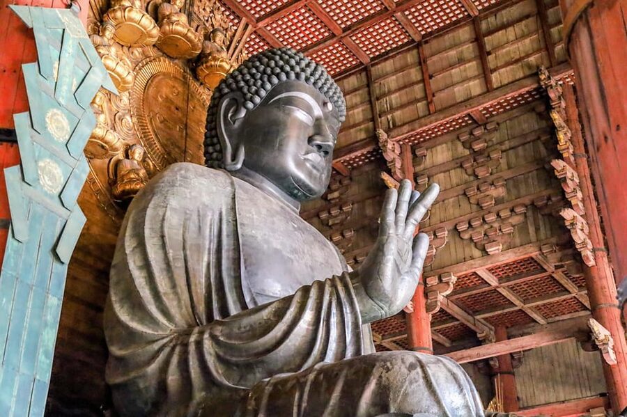 From Kyoto: Nara Guided Morning Tour - Kasuga Taisha Shrine: Lantern Lines and a Calm Shinto Feel