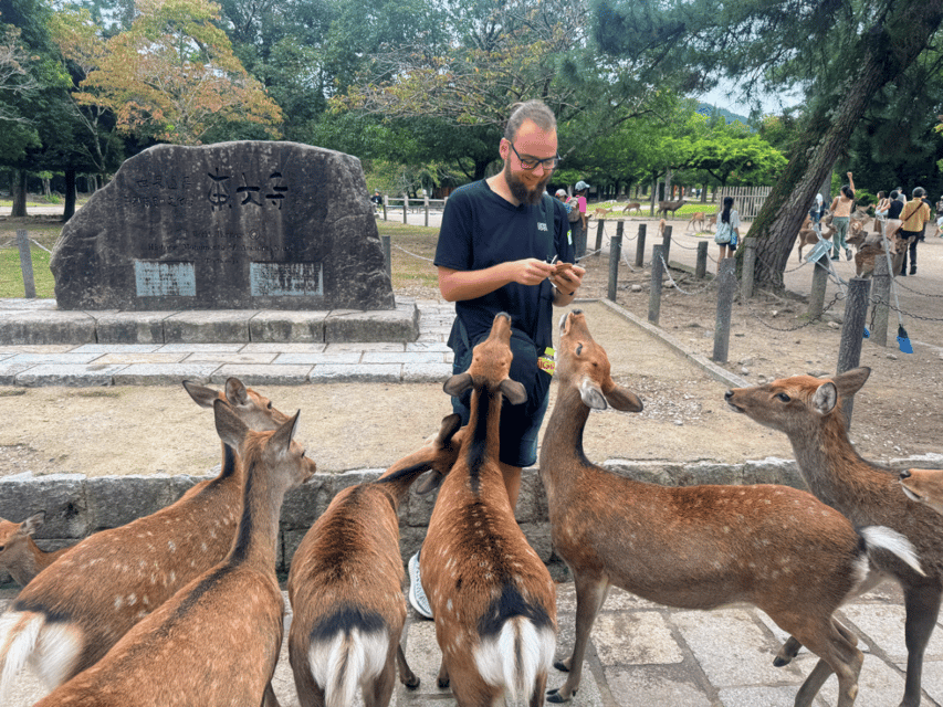 From Kyoto: Nara Guided Morning Tour - Todaiji Temple and the Great Buddha Hall: Why This Stop Feels Huge
