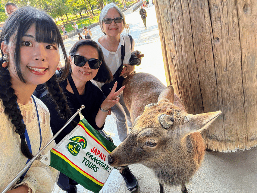 From Kyoto: Nara Guided Morning Tour - Price and Value for $77: What’s Included, What You Need to Handle