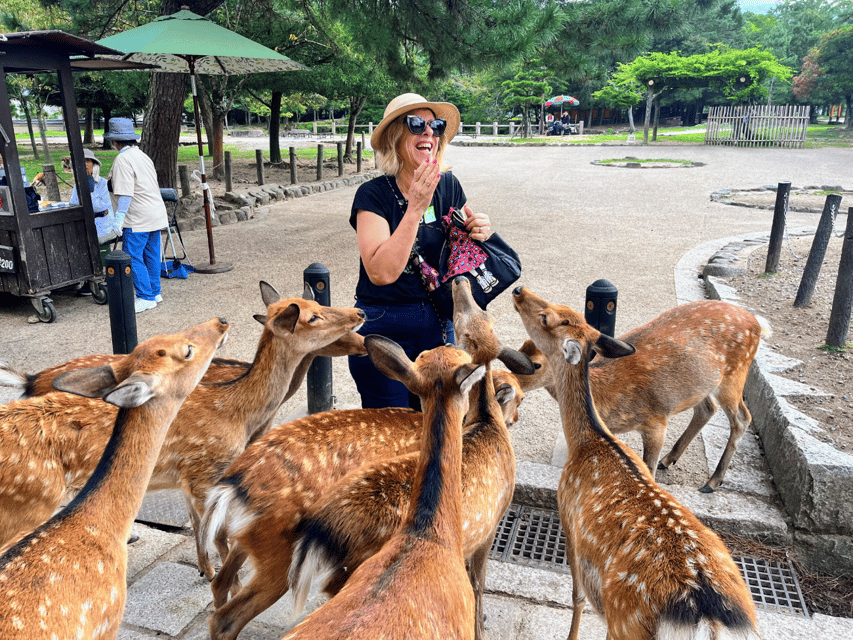 From Kyoto: Nara Guided Morning Tour - The Ride to Nara: Comfort, Wi-Fi, and Historic Pass-By Views