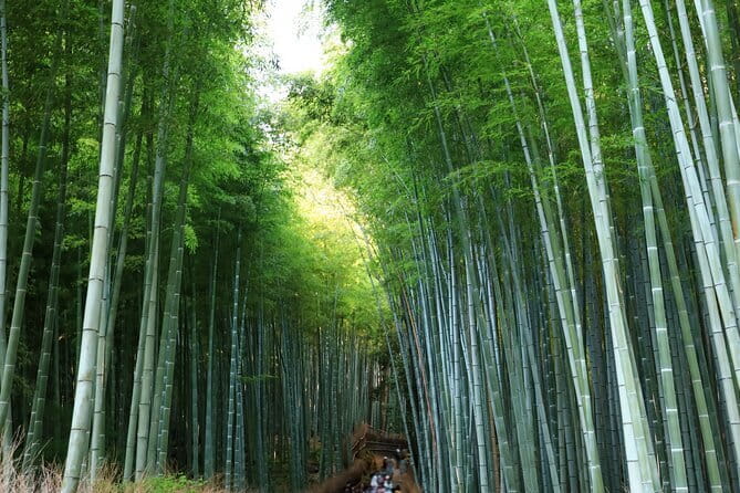 From Kyoto / Osaka: Kyoto Must-see Spots & Nara Park One Day Tour - A One-Day Kyoto and Nara Plan That Actually Makes Sense