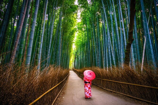 From Kyoto / Osaka: Kyoto Must-see Spots & Nara Park One Day Tour - Fushimi Inari Taisha: The Torii Gate Walk You’ll Remember for Years