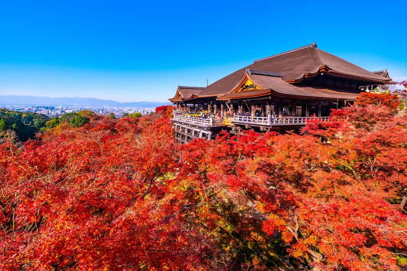 From Kyoto/Osaka: Kyoto Top Highlights 1-Day Guided Bus Tour - What to Bring for This Walk-Heavy Kyoto Loop