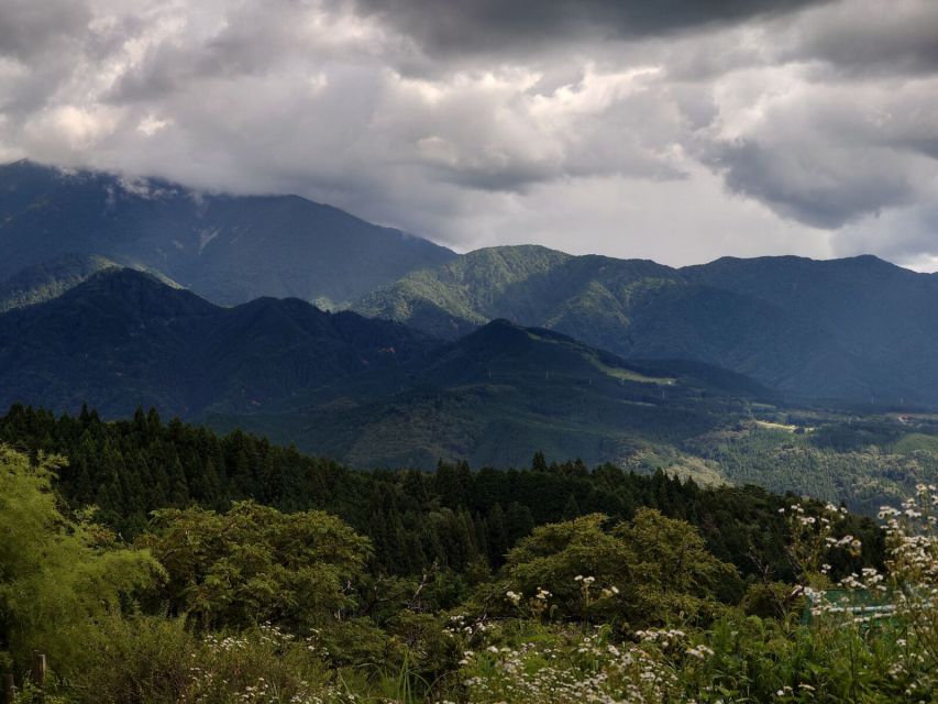 From Matsumoto/Nagano: Nakasendo Trail Walking Tour - The 8 km hike: cobbles, country roads, and the Odaki and Medaki moment