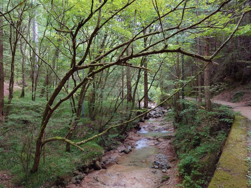 From Matsumoto/Nagano: Nakasendo Trail Walking Tour - Who this tour suits best, and who should skip it