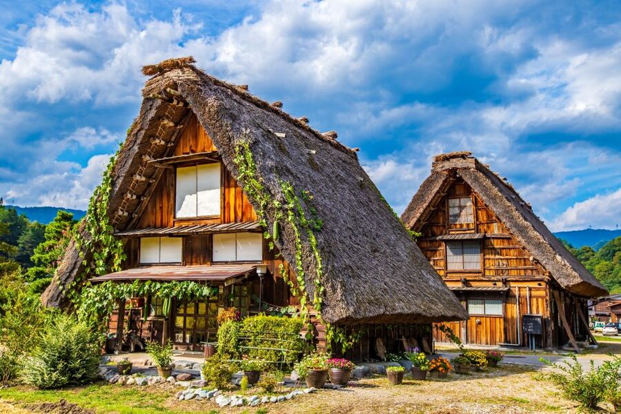 From Nagoya: Hida Takayama & Shirakawa-go Tour w/Opt. Lunch - Your Shirakawa-go visit: gassho houses, photo viewpoints, and quiet walking