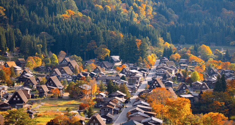 From Nagoya: Hida Takayama & Shirakawa-go Tour w/Opt. Lunch - The guides and how they keep the day smooth