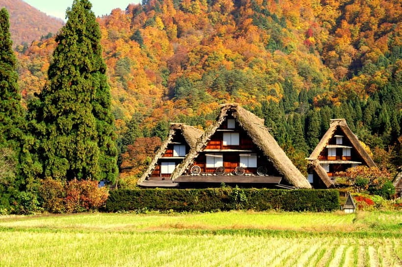 From Nagoya: Hida Takayama & Shirakawa-go Tour w/Opt. Lunch - When winter shifts the plan: Gujo Hachiman as a detour