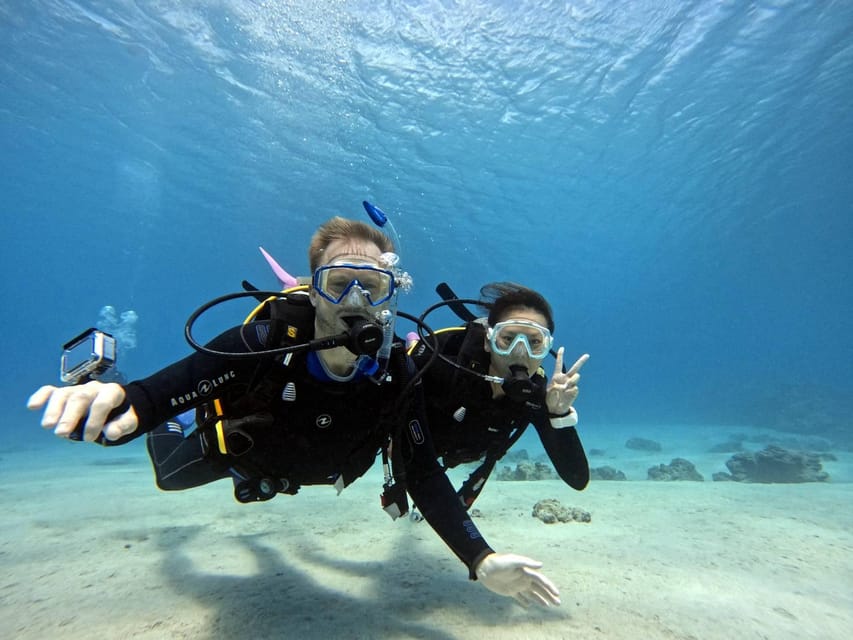 From Naha Scuba Diving Trip in Kerama(for certified divers) - Key highlights to look for