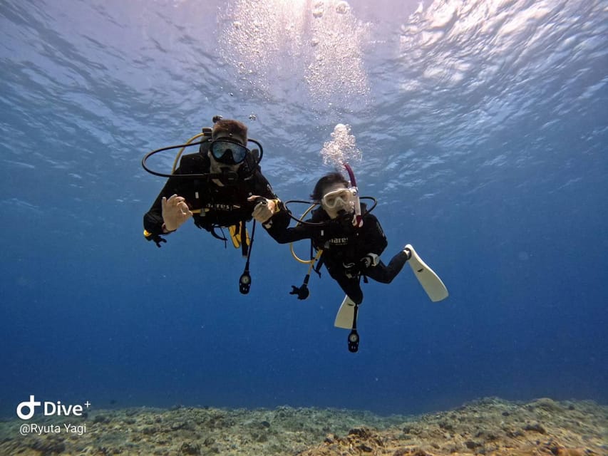 From Naha Scuba Diving Trip in Kerama(for certified divers) - What $206 gets you, and how the extras typically work