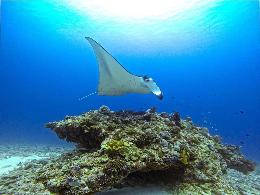 From Naha Scuba Diving Trip in Kerama(for certified divers) - Gear, fit, and the packing list that actually matters