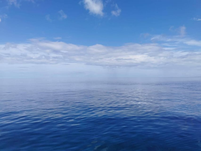 From Naha Scuba Diving Trip in Kerama(for certified divers) - Who should book this, and who should skip it
