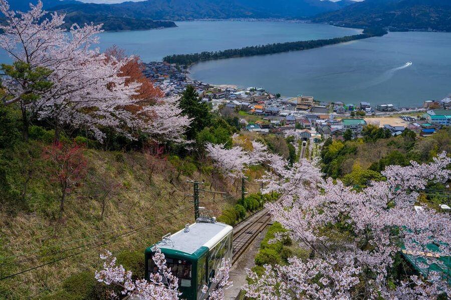 From Osaka: Amanohashidate and Ine Bay Day Trip - Bus comfort and guide quality, what makes the whole day easier