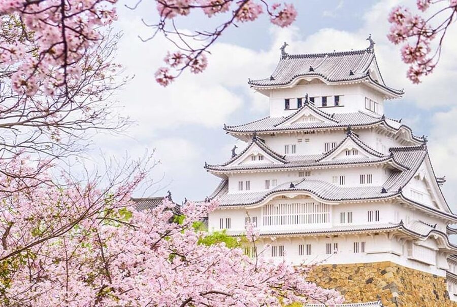 From Osaka: Himeji Castle, Arima Onsen & Mt. Rokko Day Tour - Key Points Worth Booking For