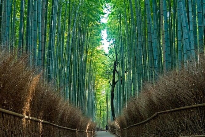 From Osaka/Kyoto: Kyoto & Nara Day Trip with Optional Lunch - How This Kyoto and Nara Bus Day Trip Works in Real Life