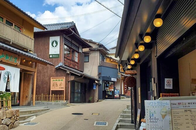From Osaka/Kyoto: Kyoto & Nara Day Trip with Optional Lunch - Who This Tour Suits Best