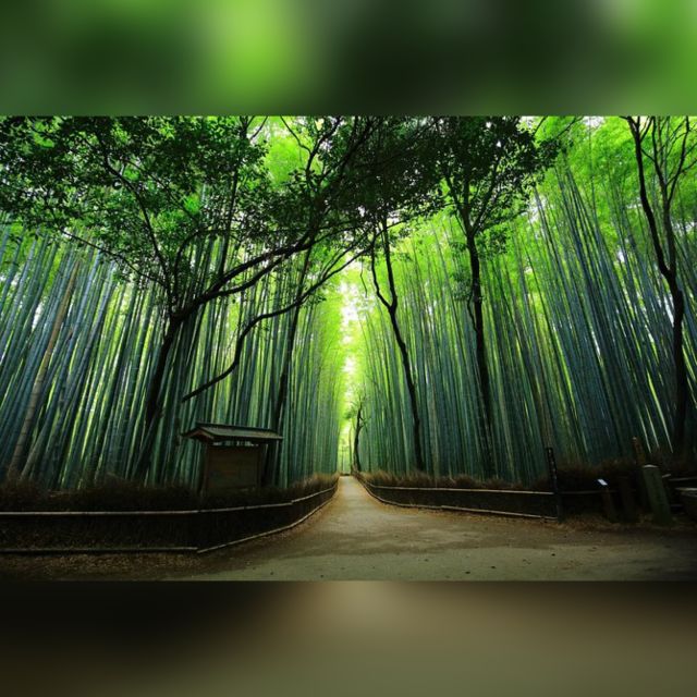 From Osaka/Kyoto: Private Kyoto & Nara Day Trip with Pickup - Fushimi Inari Taisha, planning your torii gate walk in 40 minutes