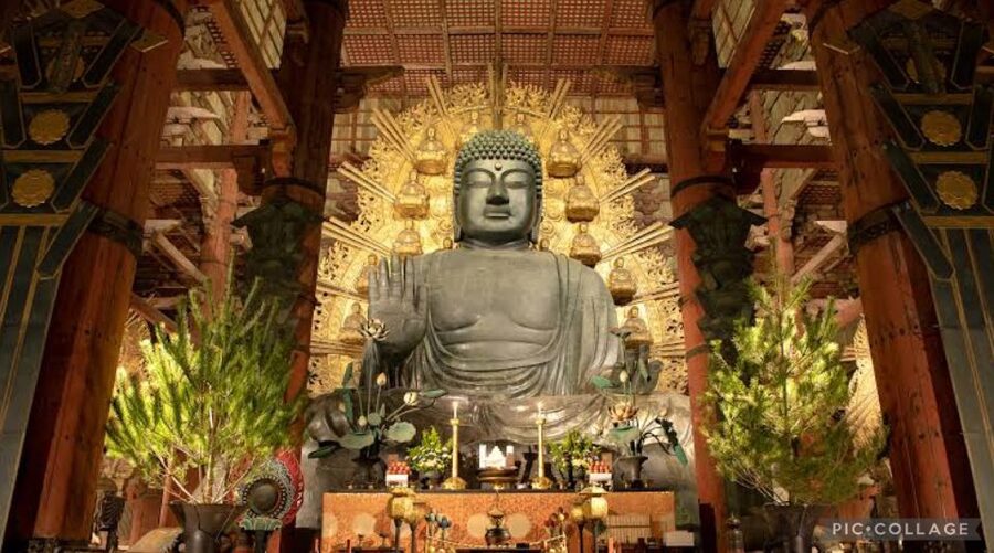 From Osaka/Kyoto: Private Kyoto & Nara Day Trip with Pickup - Who this tour fits best, and who might want a different plan