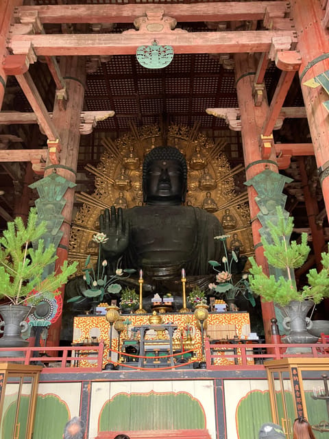 From Osaka: Nara Private Tour with Meet-Up at Your Hotel - What I really liked: guide flow and real context