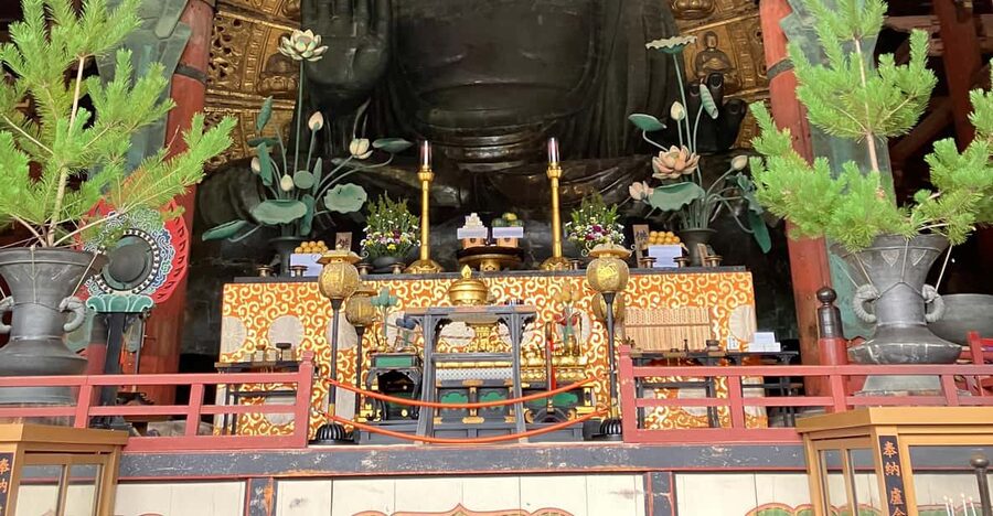 From Osaka: Nara Private Tour with Meet-Up at Your Hotel - One thing to plan for
