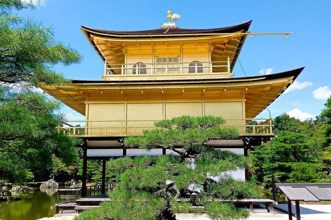 From Osaka or Kyoto: Kyoto and Nara 1-Day Bus Tour - Key points before you go