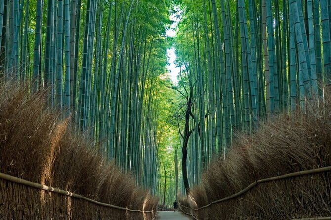 From Osaka or Kyoto: Kyoto and Nara 1-Day Bus Tour - Meeting Points, Bus Timing, and How Not to Miss the Start
