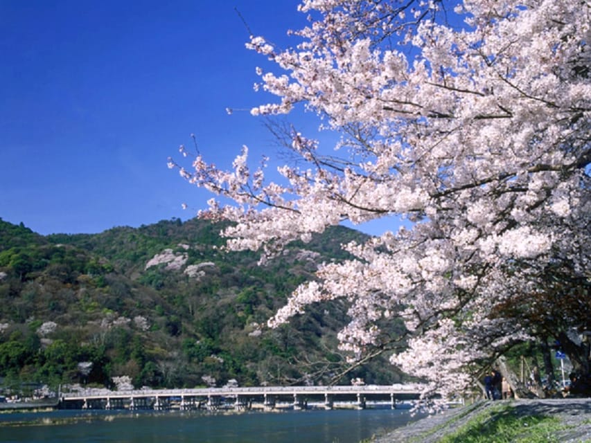 From Osaka: Sagano Train Ride and Kyoto Guided Day Tour - From Osaka to Kyoto by AC bus, meeting-point reality check