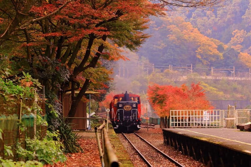 From Osaka: Sagano Train Ride and Kyoto Guided Day Tour - Sagano Romantic Train: 25 minutes from Arashiyama to Kameoka