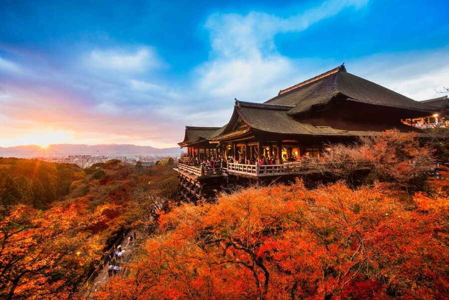 From Osaka: Sagano Train Ride and Kyoto Guided Day Tour - Lunch and shopping: what’s included, what to expect, and food-fit tips