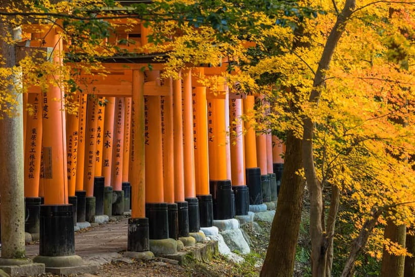 From Osaka: Sagano Train Ride and Kyoto Guided Day Tour - Arashiyama walk: bamboo forest calm and Togetsukyo over the Katsura River