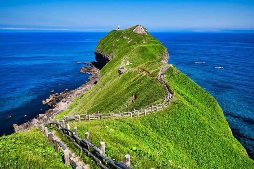 From Sapporo: Hokkaido Highlights Day Trip - Quick reasons this day trip is worth your time