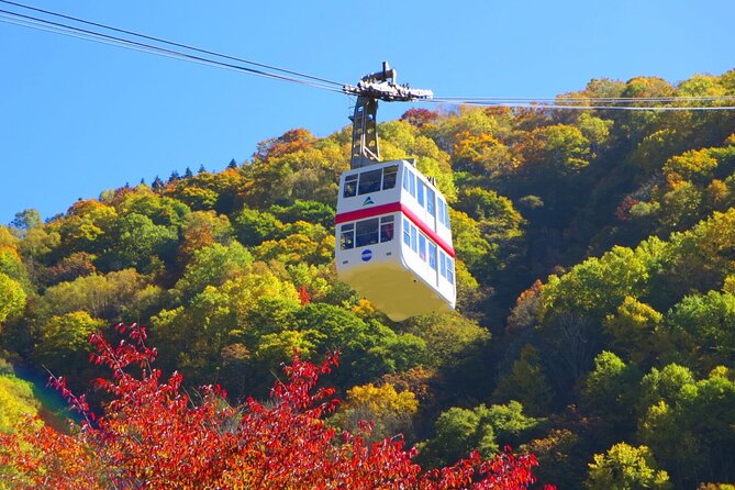 From Takayama: Alpine Splendor - Shinhotaka Ropeway and Kamikochi - A one-day plan that hits big alpine variety