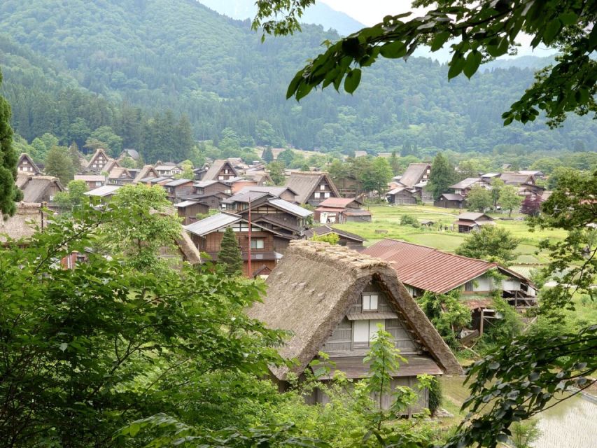 From Takayama: Guided Day Trip to Takayama and Shirakawa-go - Shirakawa-go First Glimpses: Lookouts, Rice Paddies, and Those White Roofs