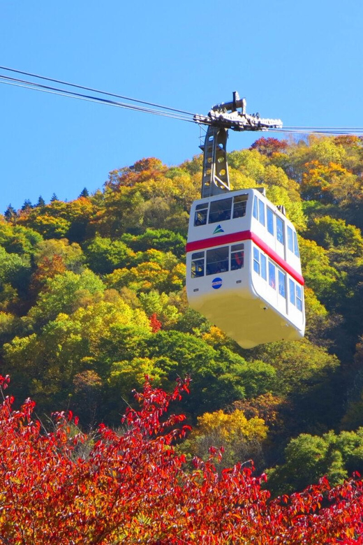 From Takayama: Shinhotaka Ropeway and Kamikochi tour - Why the guides make a big difference on this day trip