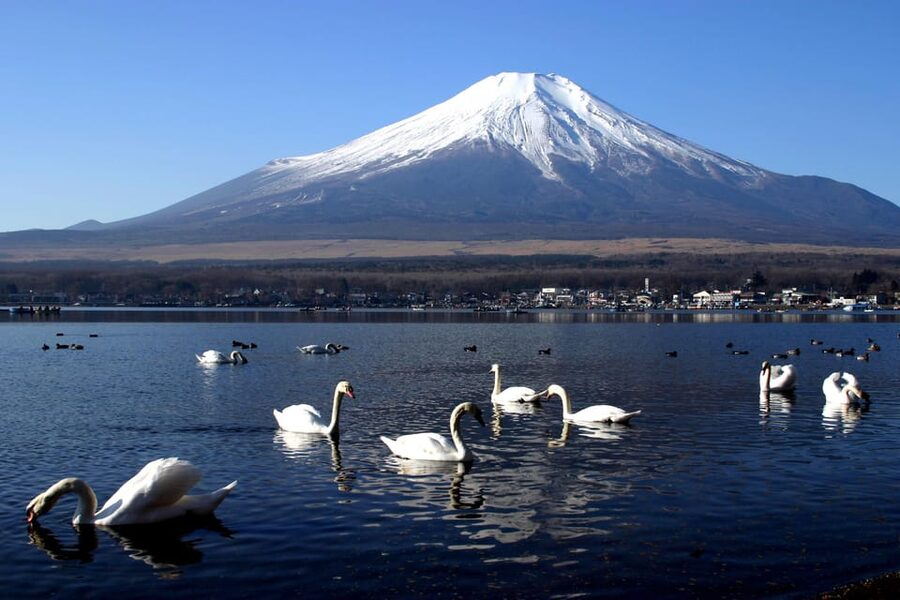 From Tokyo: Fuji Mountain Area - FujiQ - Lake Kawaguchiko - Chureito Pagoda - Key highlights worth the hype