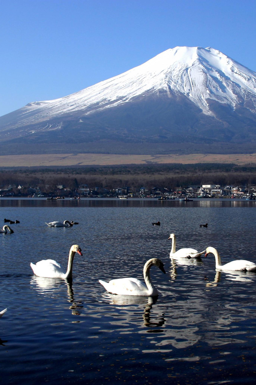 From Tokyo: Fuji Mountain Area - FujiQ - Lake Kawaguchiko - Chureito Pagoda - Lake Kawaguchiko: calm water, Fuji reflections, and optional extras