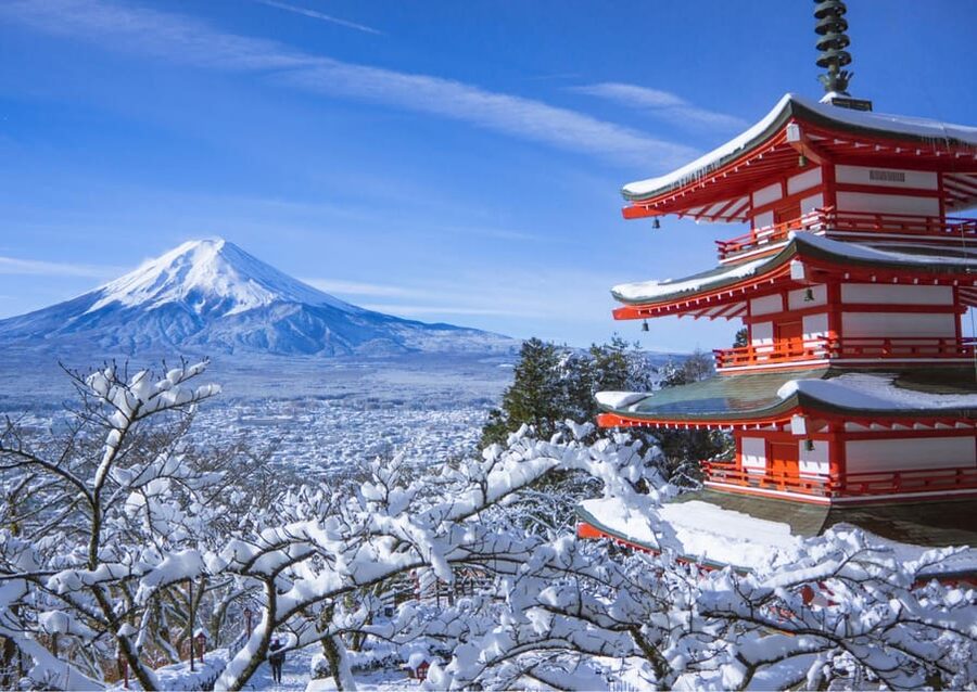 From Tokyo: Fuji Mountain Area - FujiQ - Lake Kawaguchiko - Chureito Pagoda - Oshino Hakkai: crystal-clear springs with a guided walk that makes it click