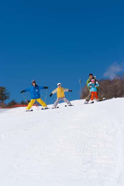 From Tokyo: Fujiyama Snow Resort Yeti Winter Ski Day Tour - Mt. Fuji views, photo stops, and the reality check on weather