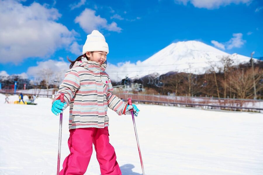 From Tokyo: Fujiyama Snow Resort Yeti Winter Ski Day Tour - Value check: why the pricing can work at $49, and when it won’t