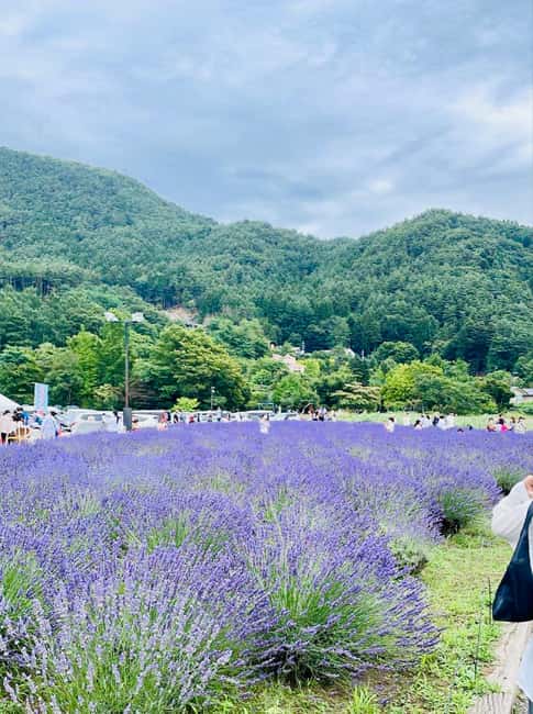 From Tokyo: Full-Day Mount Fuji Tour in English or Spanish - Key things I’d plan around
