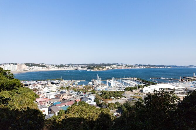 From Tokyo: Kamakura & Enoshima 1-Day Bus Tour - Getting out of Tokyo fast: pickup rhythm and ride comfort