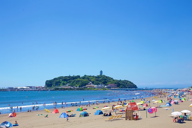 From Tokyo: Kamakura & Enoshima 1-Day Bus Tour - Kōtoku-in Great Buddha: the short stop that hits hard