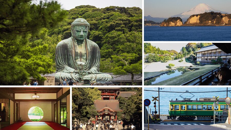 From Tokyo: Kamakura Full Day Tour with a Local Expert Guide - Key Things That Make This Kamakura Tour Worth Your Time